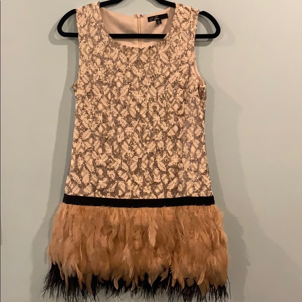 C. Luce Sequin Feathered Dress